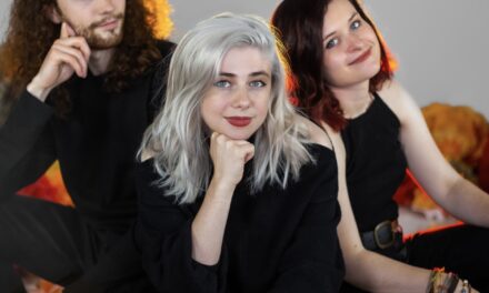 Michigan’s The Accidentals releases New Project Vessel