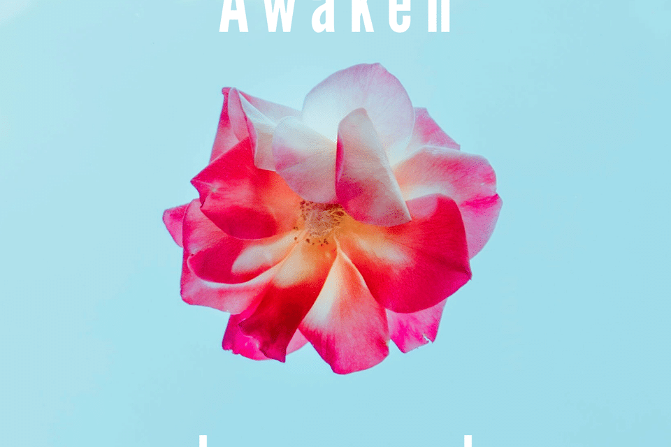 London based contemporary pop artist Anouska Taylor reveals gorgeous new offering ‘Awaken’ 