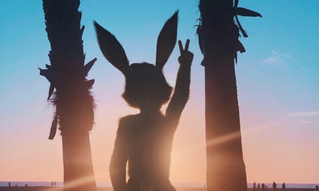 Web3 entertainment company ‘Hume Collective’ arrives with first-ever meta star ‘Angelbaby’