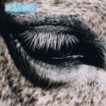 Smag På Dig Selv Turn Club Music Into a Physical Language on This Is Why We Lost